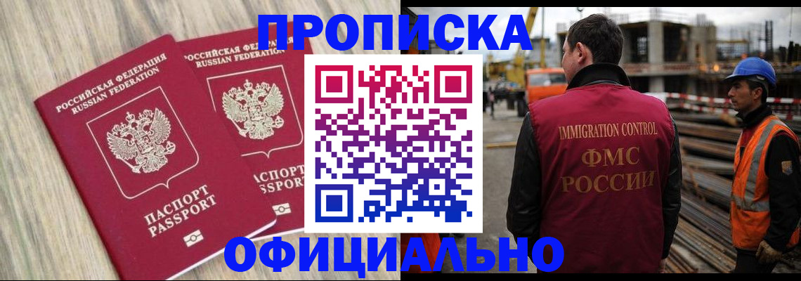 прописка поиск в Коле